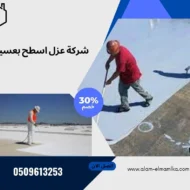 شركة عزل اسطح بعسير