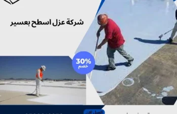 شركة عزل اسطح بعسير